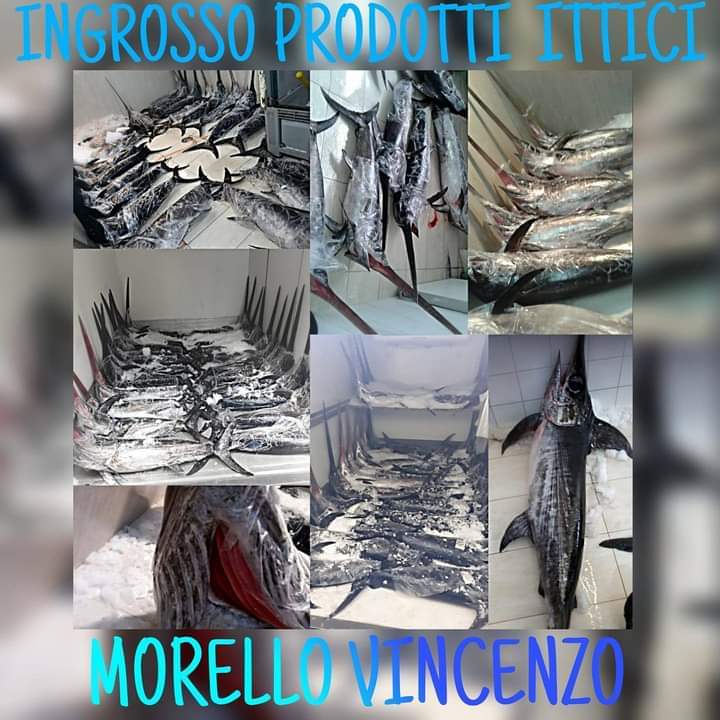 Ingrosso Prodotti Ittici di Morello Vincenzo